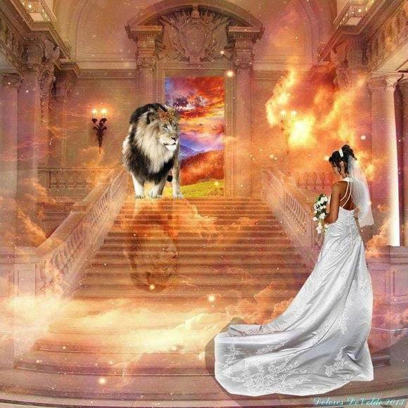 Meet your Posher, Sylvia - Picture 1 of 1